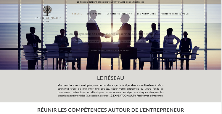 Réseau EXPERTCONSULT